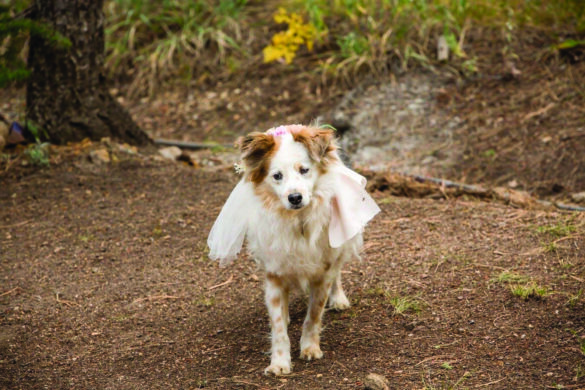Bella from Misha Brigham
