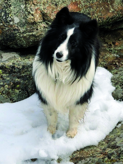 Bella from Paula Belleggie