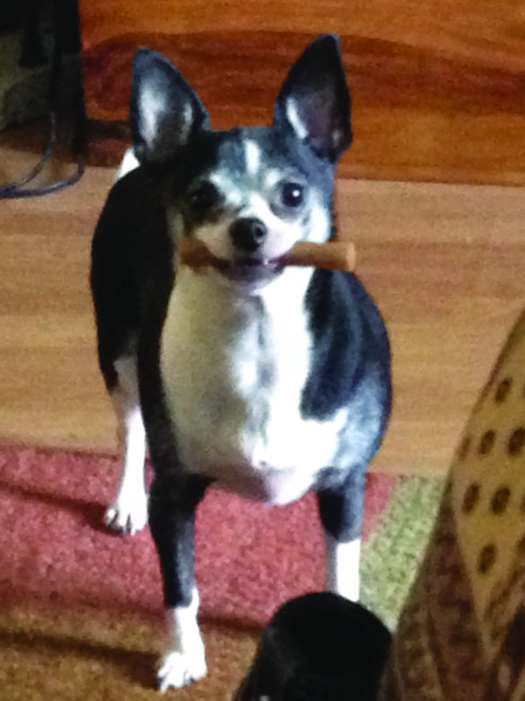 Daisy Mae from Kimberly Brown