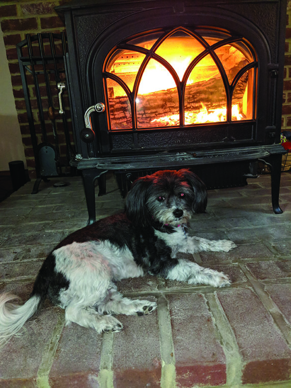 Heidi