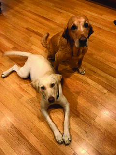 Jemma and Maysie from Jenny Illig