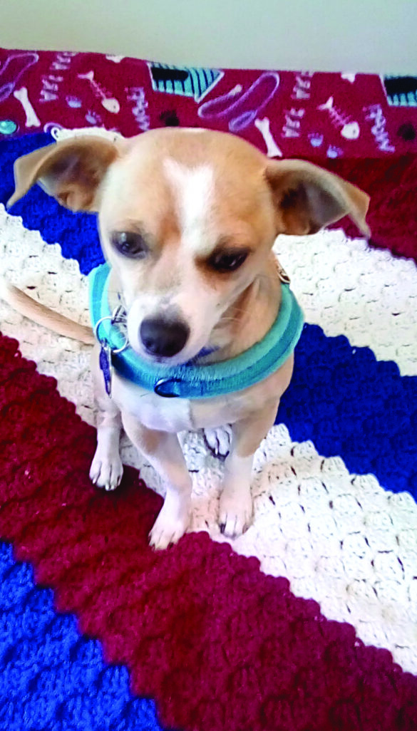 Lucky from Sharon Pickler