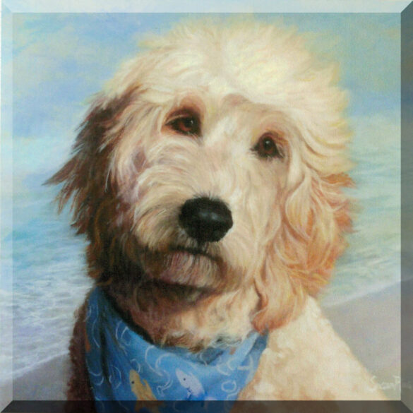 MacDoodle_DMJ