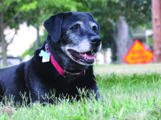 Maisy from Melissa Wiggins