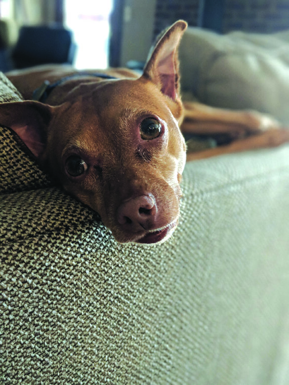 Max