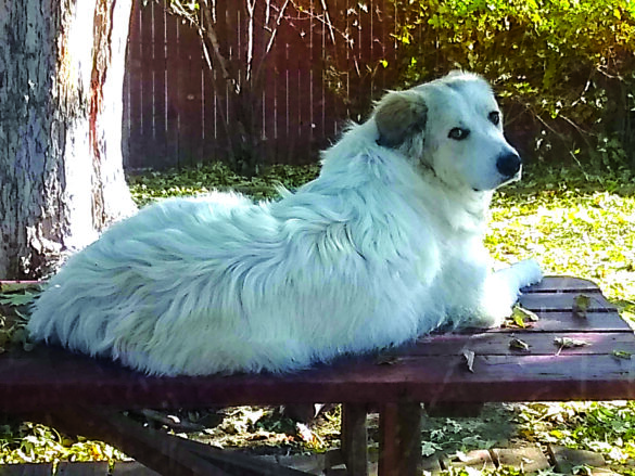 Molly from Connie May