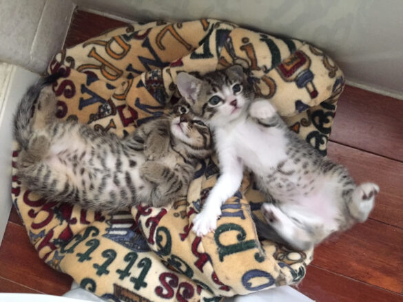 Pooki and Krishna_Barbara_Fields
