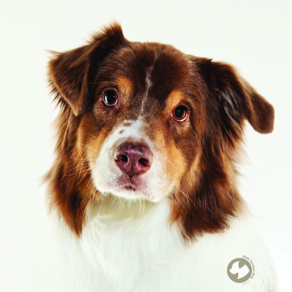 Quigley from Tanja Smith