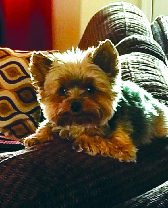 Shanti from Patty Rumpza