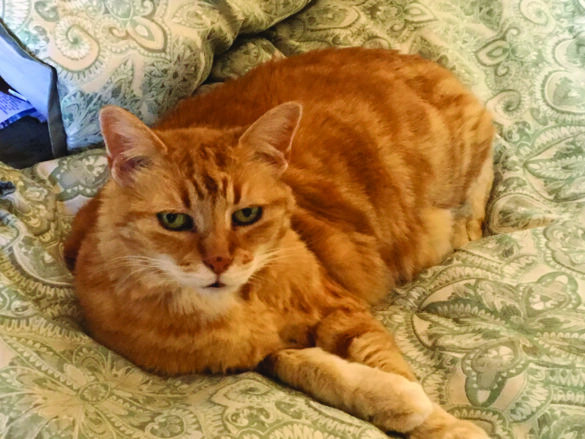 Skylar from Marilyn Lewis