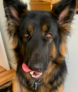 Ike Tongue Adorable Feb 2020 Cropped_Ann_Thacker